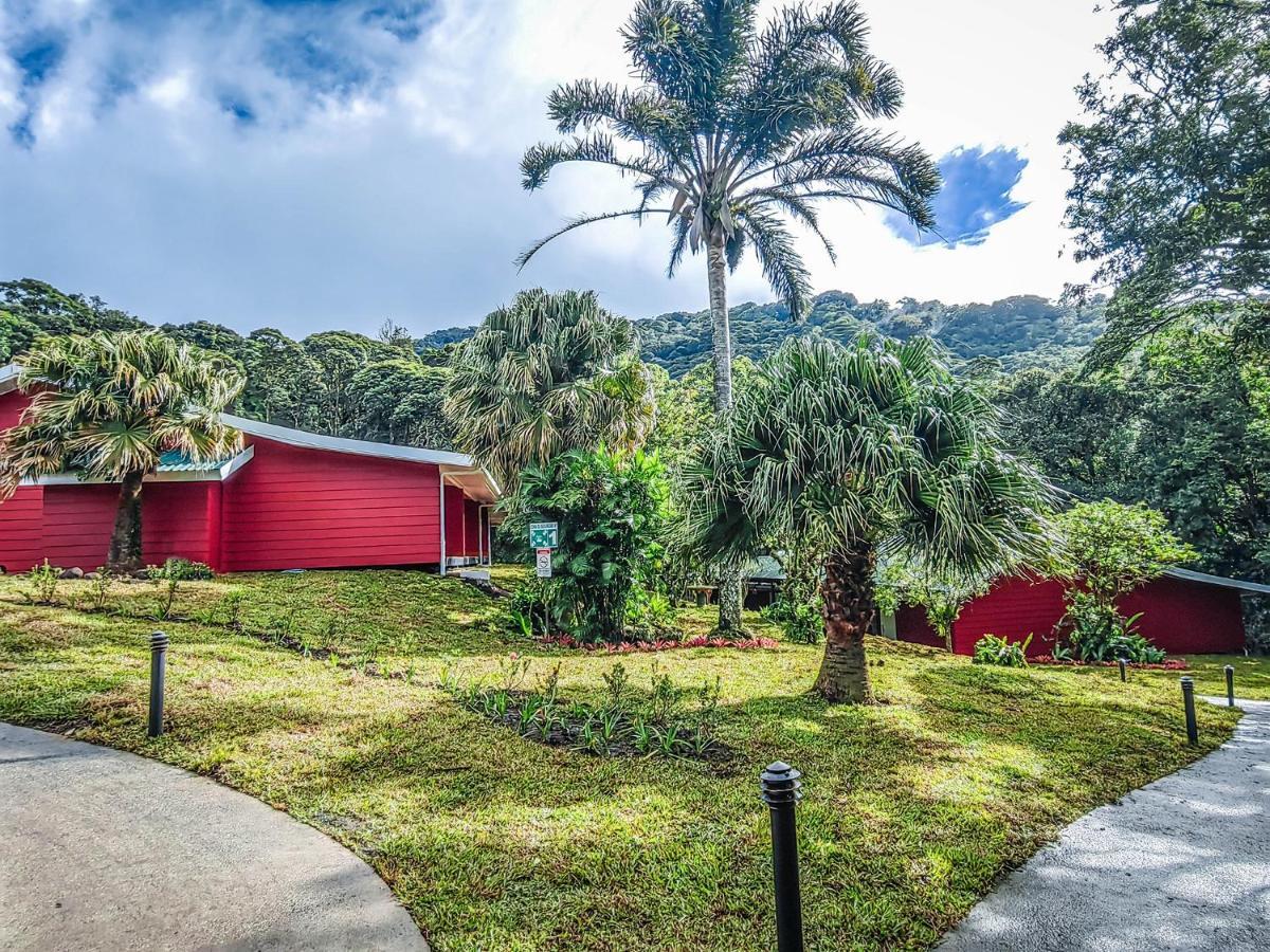 Lodge Cloud Forest By Boeena *